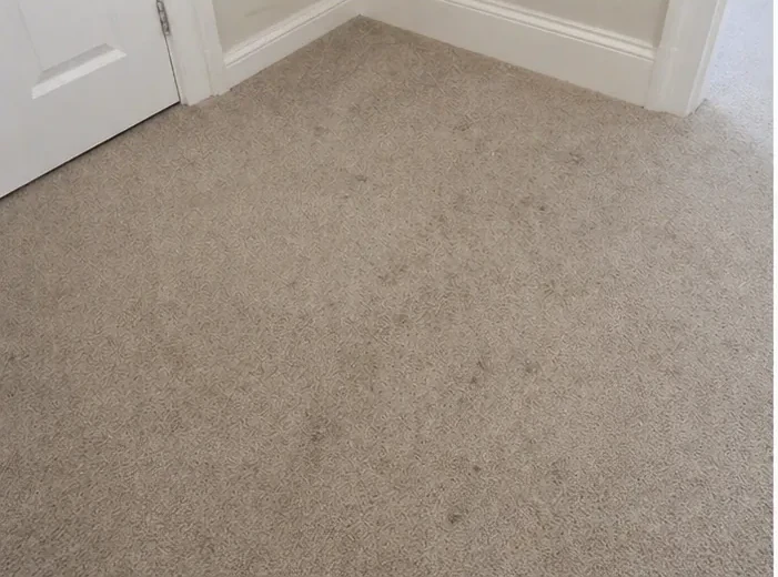 Bedroom carpet before cleaning, Cove